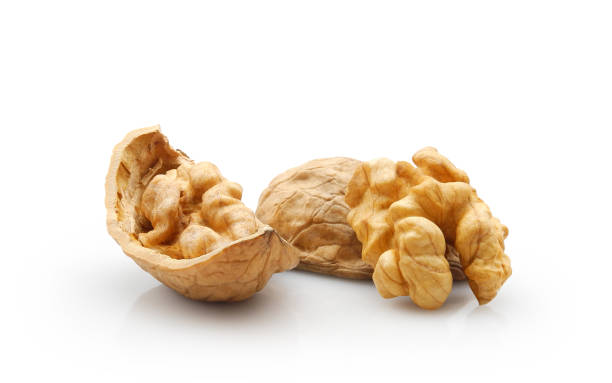 Fresh  Walnut